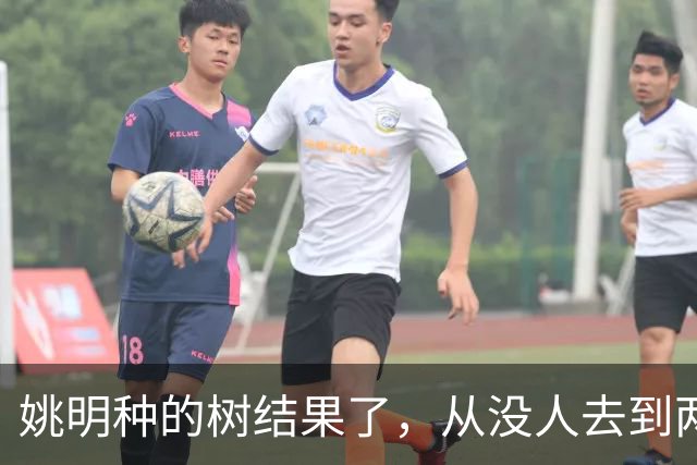 姚明种的树结果了，从没人去到两位数留洋，年轻人治好男篮老毛病