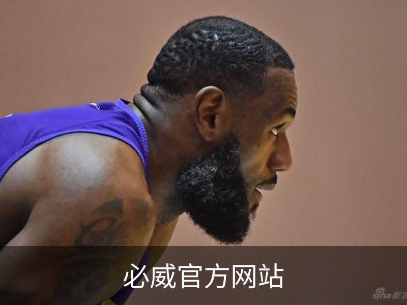 必威官方网站概况